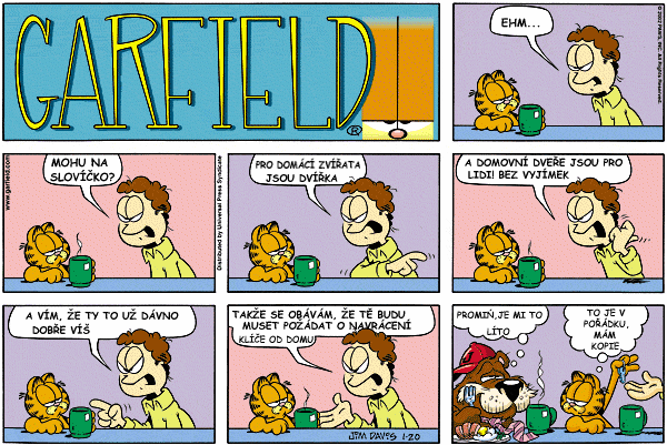 garfield 8.gif